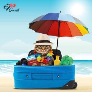 vacances 2017 - A2 Conseil